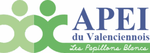apei-valenciennes-logo